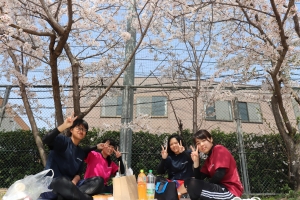お花見会