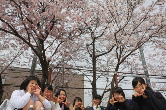 お花見会 女子ソフトボール部 体育系 部活動 おかやま山陽高校 お花見会 女子ソフトボール部 体育系 部活動 おかやま山陽高校