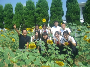 ひまわり満開!!