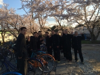 桜のように、華が開きますように！