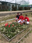 満開！全勝で県大会出場決定！
