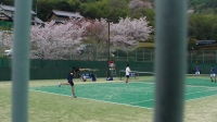 満開の桜のもと、全力でプレイ