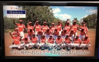 テレビ番組!