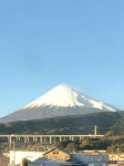 明けましておめでとうございます⛩