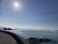 海