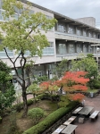 中庭の紅葉