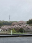 雨でも粘ります！