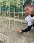 細い …この選手の幹はどっちなんでしょうか?