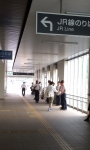 有難うございます！
