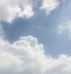 夏だぜ！