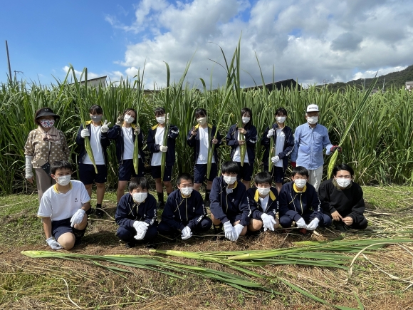 『まこもたけ収穫体験in里庄』地域を舞台とした探究活動⑩