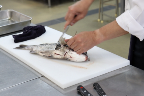 【普通科　進学コース】シリーズ「探究2023」②課題魚の試食調理